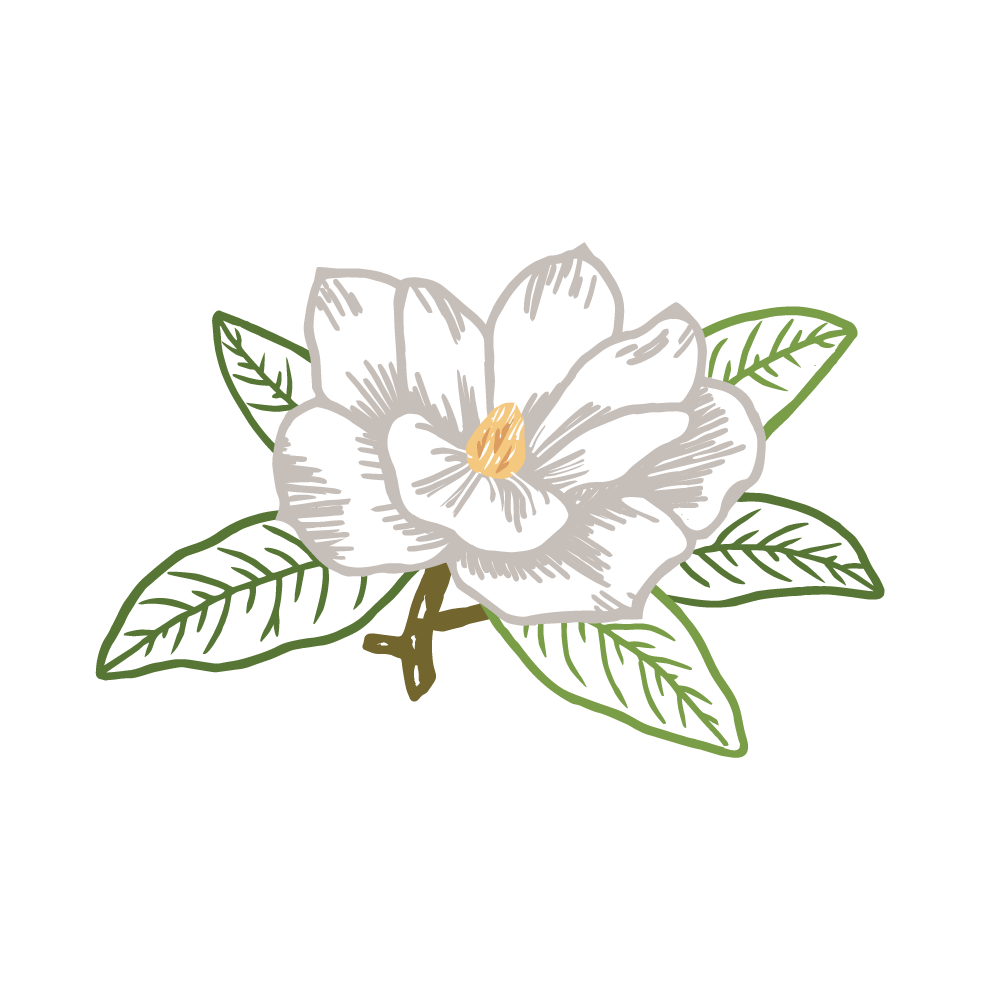 Southern Magnolia for Print