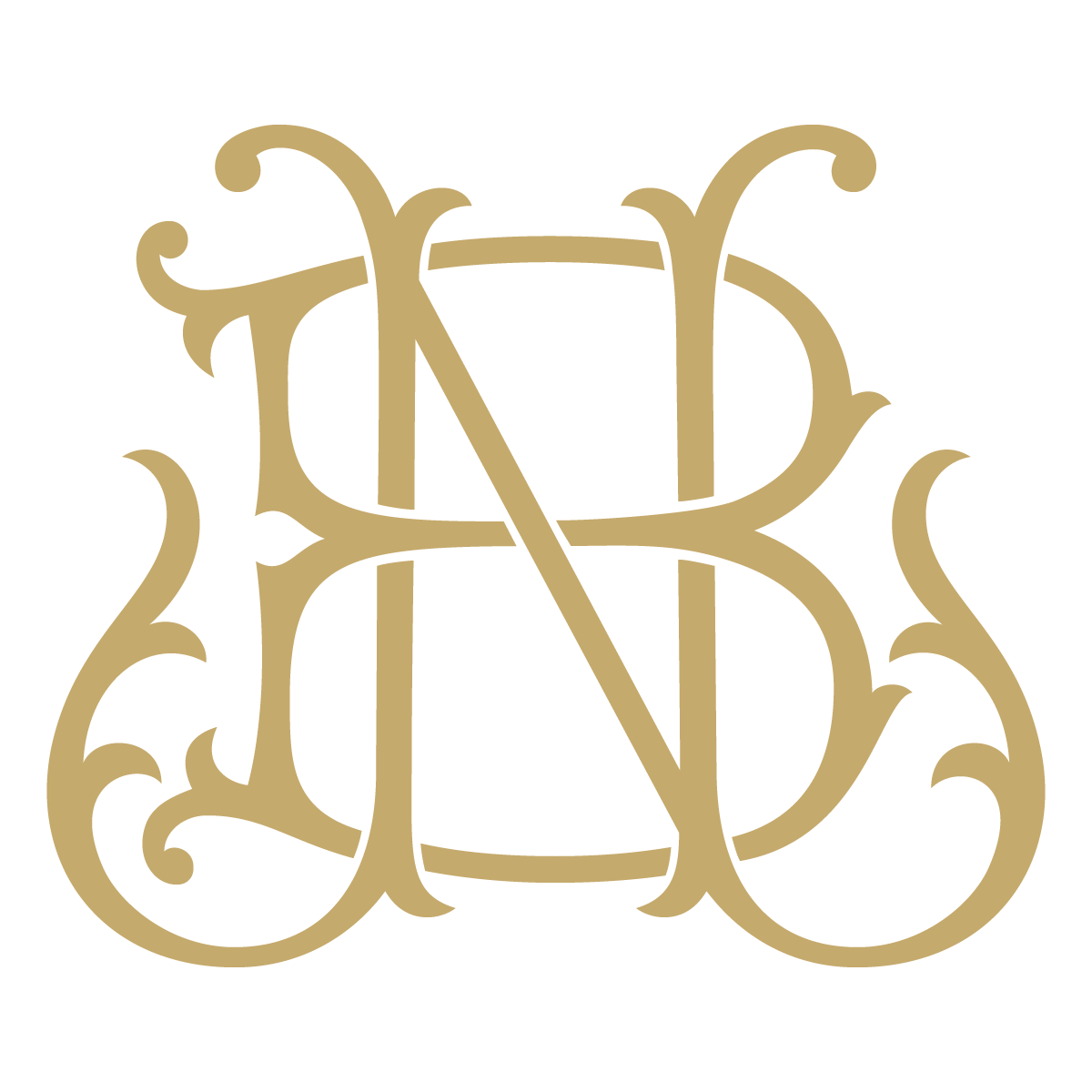 Monogram Couture BN