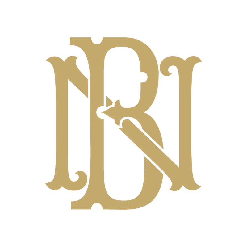 Modern Letter NB Logo Design